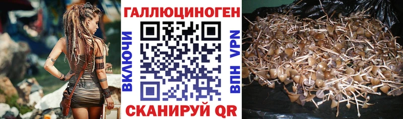 Галлюциногенные грибы мухоморы  Верхний Тагил 